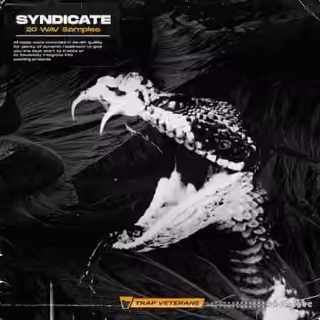 Trap Veterans Syndicate [WAV]