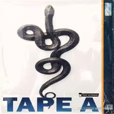 Trap Veterans Tape A [WAV]