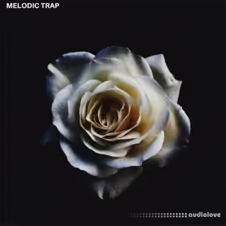 Triad Sounds Modern Samples Melodic Trap [WAV]