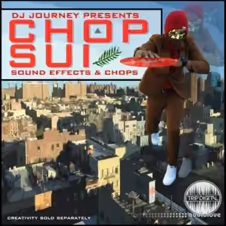 Trip Digital Chop Suey by DJ Journey [WAV]