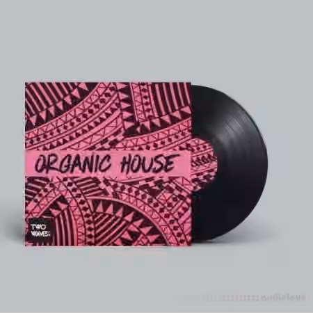 Two Waves Organic House [WAV, MiDi]
