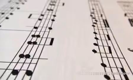 Udemy Read and Feel Musical Rhythms Like a Pro [TUTORiAL]