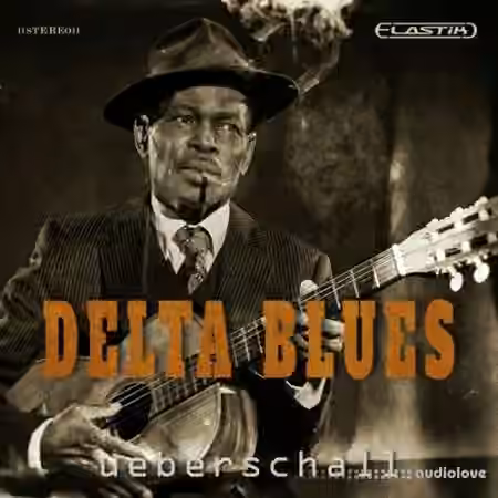 Ueberschall Delta Blues [Elastik]
