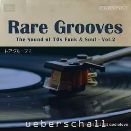 Ueberschall Rare Grooves Vol.2 [Elastik]
