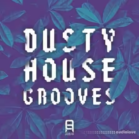 Ultimate Loops Dusty House Grooves [WAV]