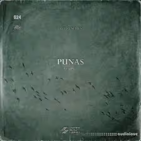 UNKWN Sounds Punas Vol.1 (Compositions and Stems) [WAV] - Sample Pack Artwork