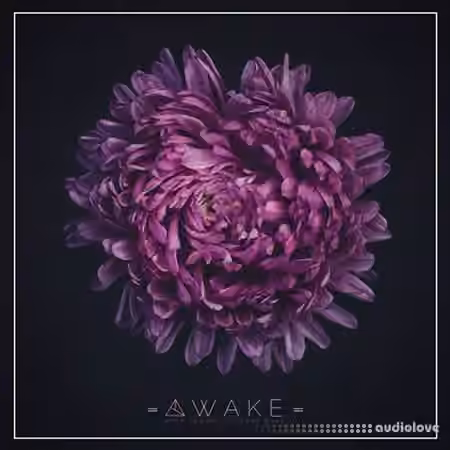 Unmute Awake [WAV, MiDi, Synth Presets]