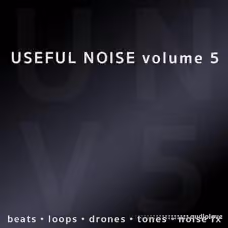 Useful Noise Useful Noise volume 5 [MULTiFORMAT]