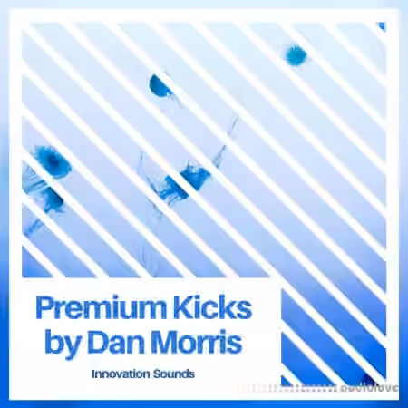Ushuaia Music Premium Kicks By Dan Morris [WAV]