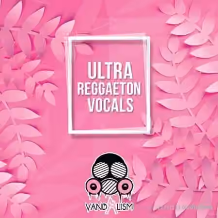 Vandalism Ultra Reggaeton Vocals [WAV]