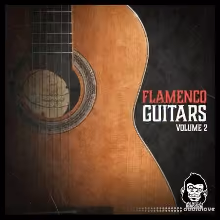 Vanilla Groove Studios Flamenco Guitars Vol.2 [WAV]