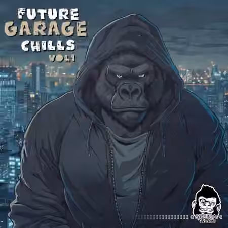 Vanilla Groove Studios Future Garage Chills Vol 1 [WAV]