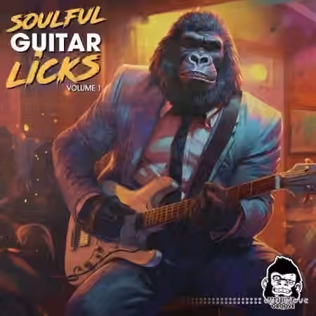 Vanilla Groove Studios Soulful Guitar Licks Vol 1 [WAV]