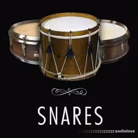 Versilian Studios Snares [WAV]