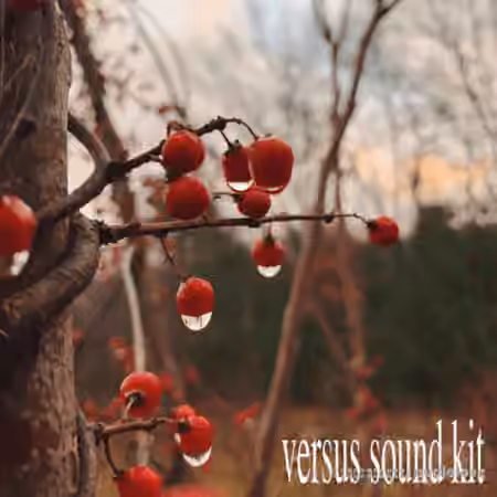 Versus Beats Versus Sound Kit [WAV]