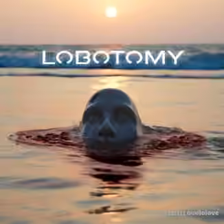 VGNs Components of a Lobotomy [WAV, MiDi, Synth Presets]
