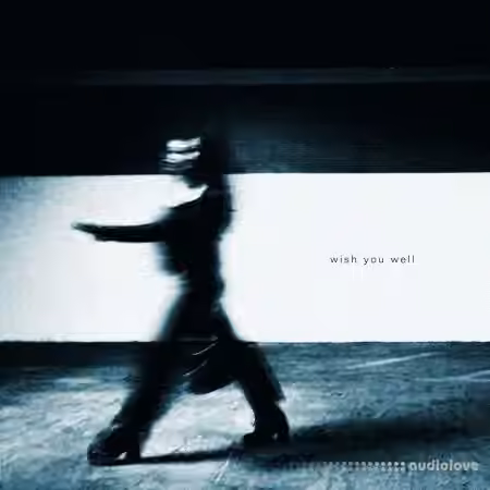 Victor Tran Wish You Well (Compositions and Stems) [WAV]