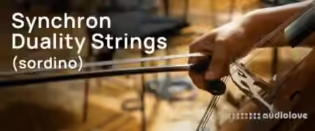 Vienna Symphonic Library Synchron Duality Strings Sordino Full for Synchron Player