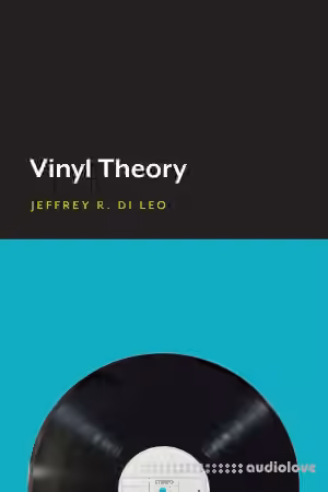 Vinyl Theory