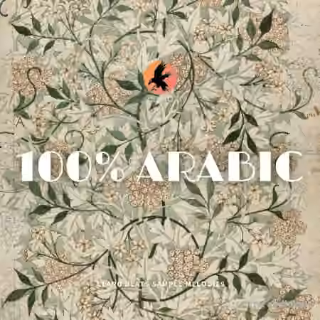 WAVS Claro Beats 100% Arabic [WAV]