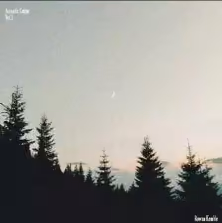 WAVS Rowan Kemble Acoustic Guitar Vol.1 [WAV]