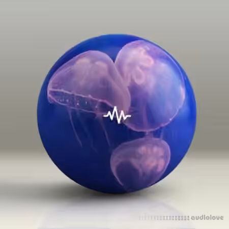 WavSupply Manso JellyFish (Dancehall Drum Kit) [WAV]