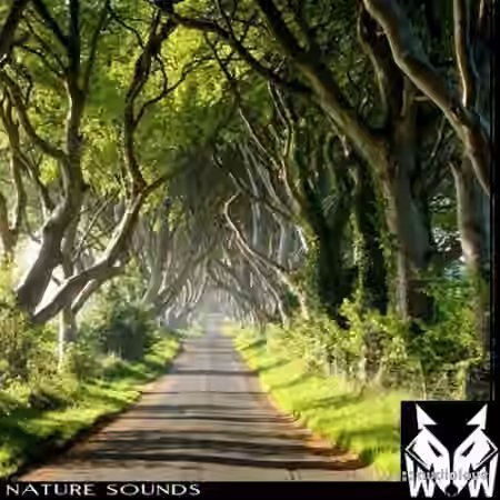 West Wolf Nature Sounds [WAV]