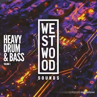 Westwood Sounds Heavy Drum and Bass Vol. 1 [WAV, Synth Presets]
