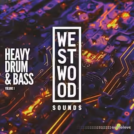Westwood Sounds Heavy Drum and Bass Vol. 1 [WAV, Synth Presets]