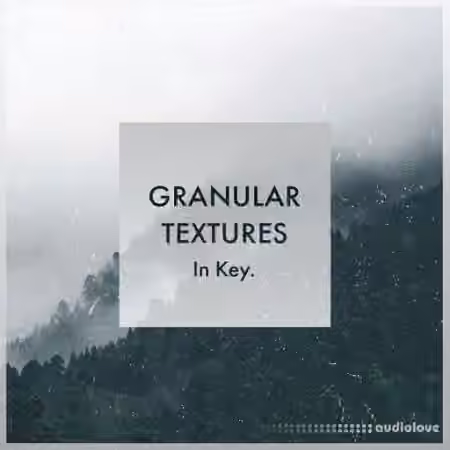 Whitenoise Records Granular Textures In Key [WAV]