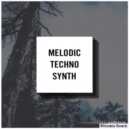 Whitenoise Records Melodic Techno Synth [WAV]