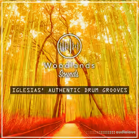 Woodlands Sounds Iglesias Authentic Drum Grooves [WAV]