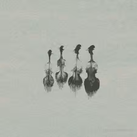 Wrongtools Feathersome Strings [KONTAKT]