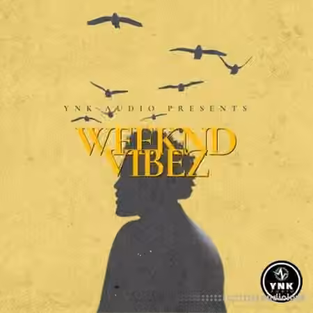 YnK Audio Weeknd Vibez: The Weeknd Type Loops [WAV]