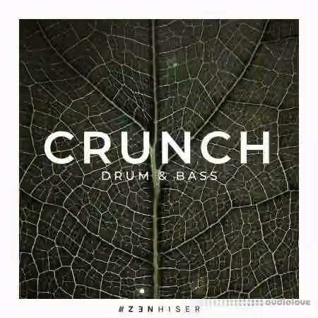 Zenhiser Crunch Drum and Bass [WAV]