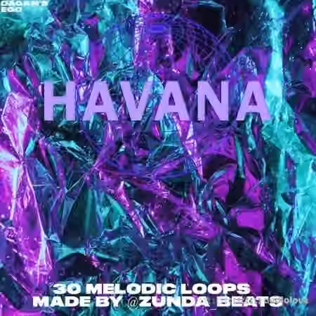 @Zunda Beats Havana Loop Kit [WAV]